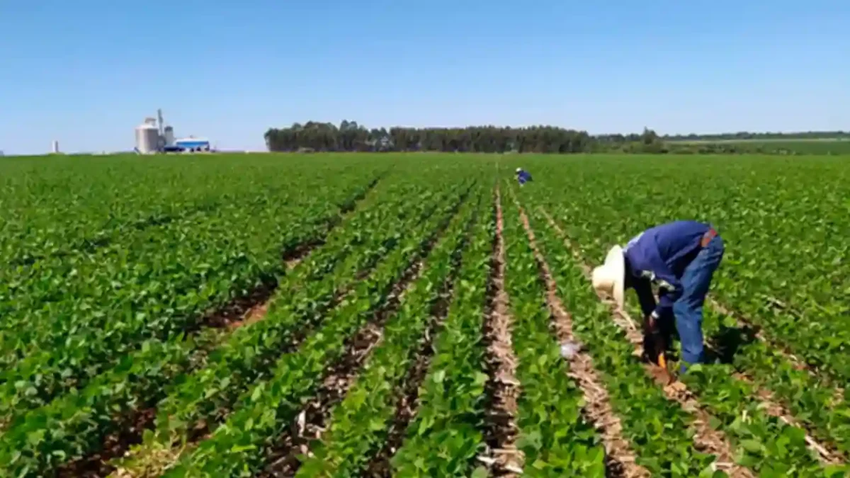agronegócio, agricultura, sustentabilidade, economia brasileira, exportação, produção rural