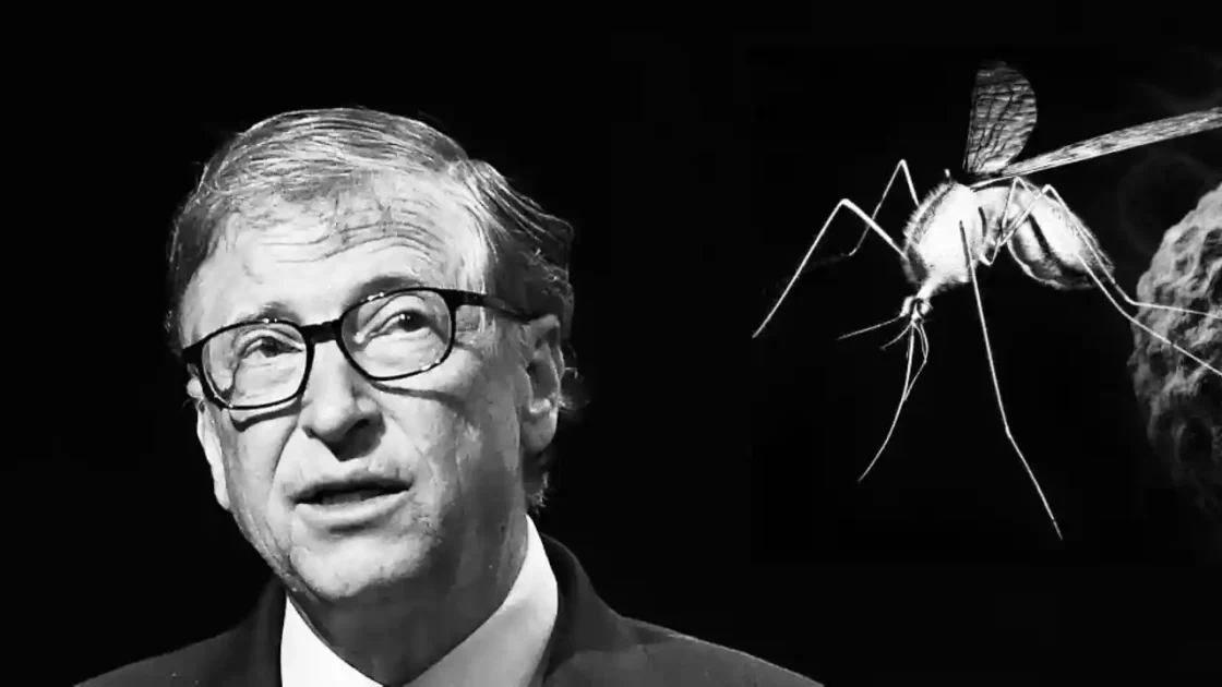 Bill Gates e Lula usando brasileiros como cobaias: Fábrica de mosquitos no Paraná coloca milhões de vidas brasileiras em risco
